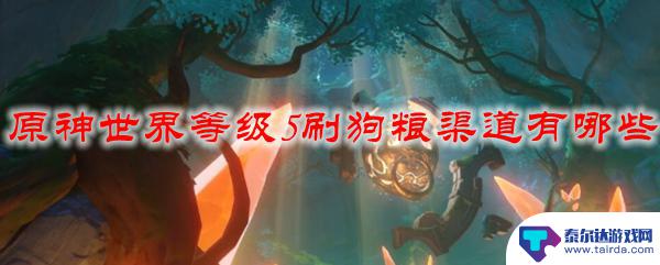 什么渠道原神5星爆率最高 原神世界等级5刷狗粮攻略