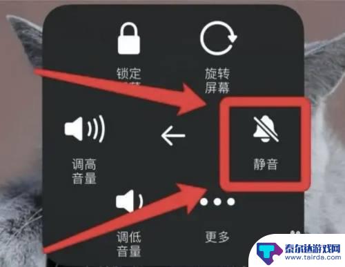 玩游戏没声音怎么设置 如何解决苹果手机游戏没有声音的问题