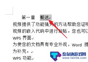 手机上wps怎么分章节 WPS文字章节列表怎么设置