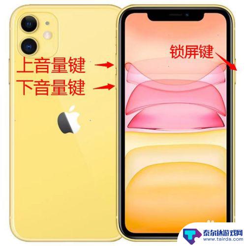 手机的铃声如何设置大小 iphone11 铃声大小调节方法