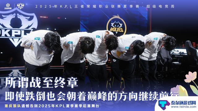 WB轻取狼队,晋级败者组决赛,小胖难以展现优势,狼队仍是B组战队的强势对手
