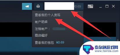 steam好友怎么看不到你在玩游戏 steam怎么设置隐身模式玩游戏