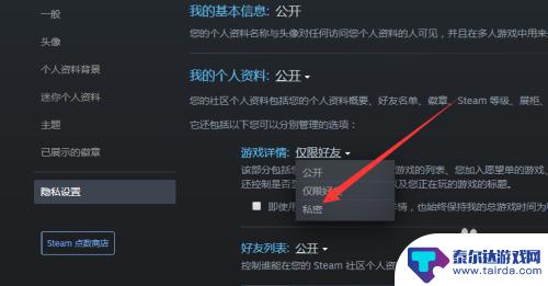 steam好友怎么看不到你在玩游戏 steam怎么设置隐身模式玩游戏