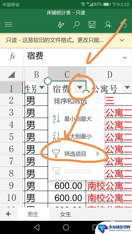 手机表格怎么横向筛选 在手机上如何使用Excel的筛选功能